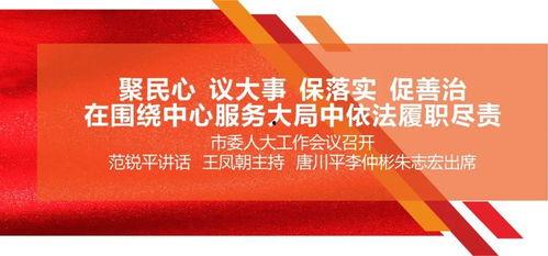 大蓉要努力最新爆料,揭秘努力背后的故事与挑战