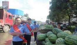 临夏吃瓜最新事件爆料,揭秘背后惊人真相，网络热议持续升温