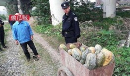 吃瓜最新事件爆料安徽新闻