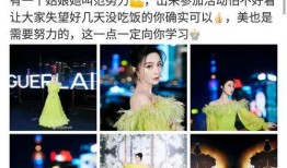 大蓉要努力最新爆料,揭秘努力背后的故事与挑战