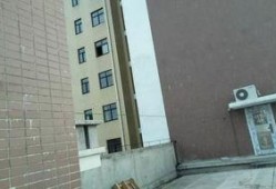 鄂州爆料最新事件,揭秘背后真相，引发社会关注