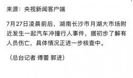 长沙小学爆料事件最新消息,真相揭开，家长震惊不已