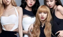 最新爆料猫女女友视频大全,盘点全网热议瞬间