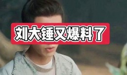 刘大锤最新爆料金主,金主背后的惊人真相