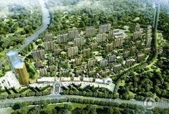 首地首城爆料最新消息,揭秘神秘项目背后的惊人真相