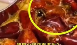 火锅店最新爆料大全图片,一图览尽美食江湖风云